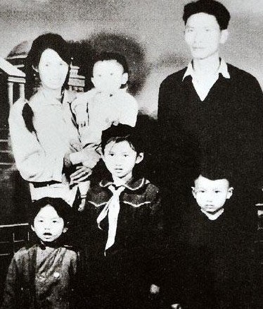 【名人故事】56岁杨丽萍的感情经历及终身不育内幕 (http://www.xifumi.com/) 行业新闻 第2张