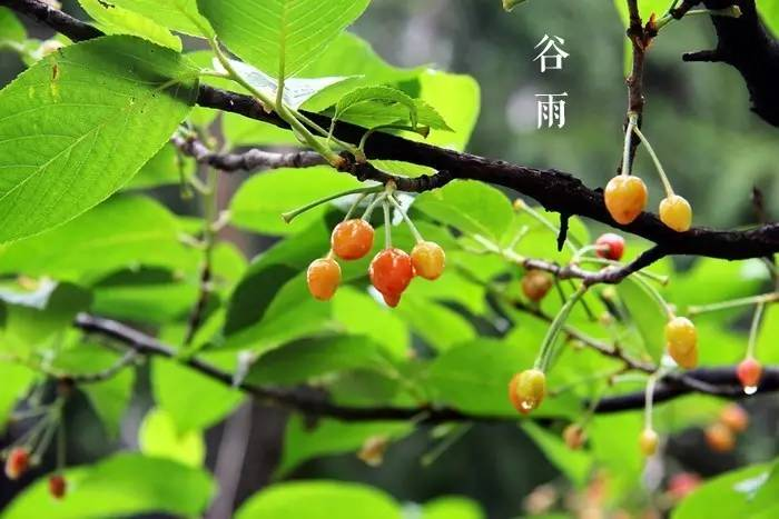 教育部发布艺考改革最新政策：2024年起不再跨省设置校考考点 (http://www.xifumi.com/) 行业新闻 第6张