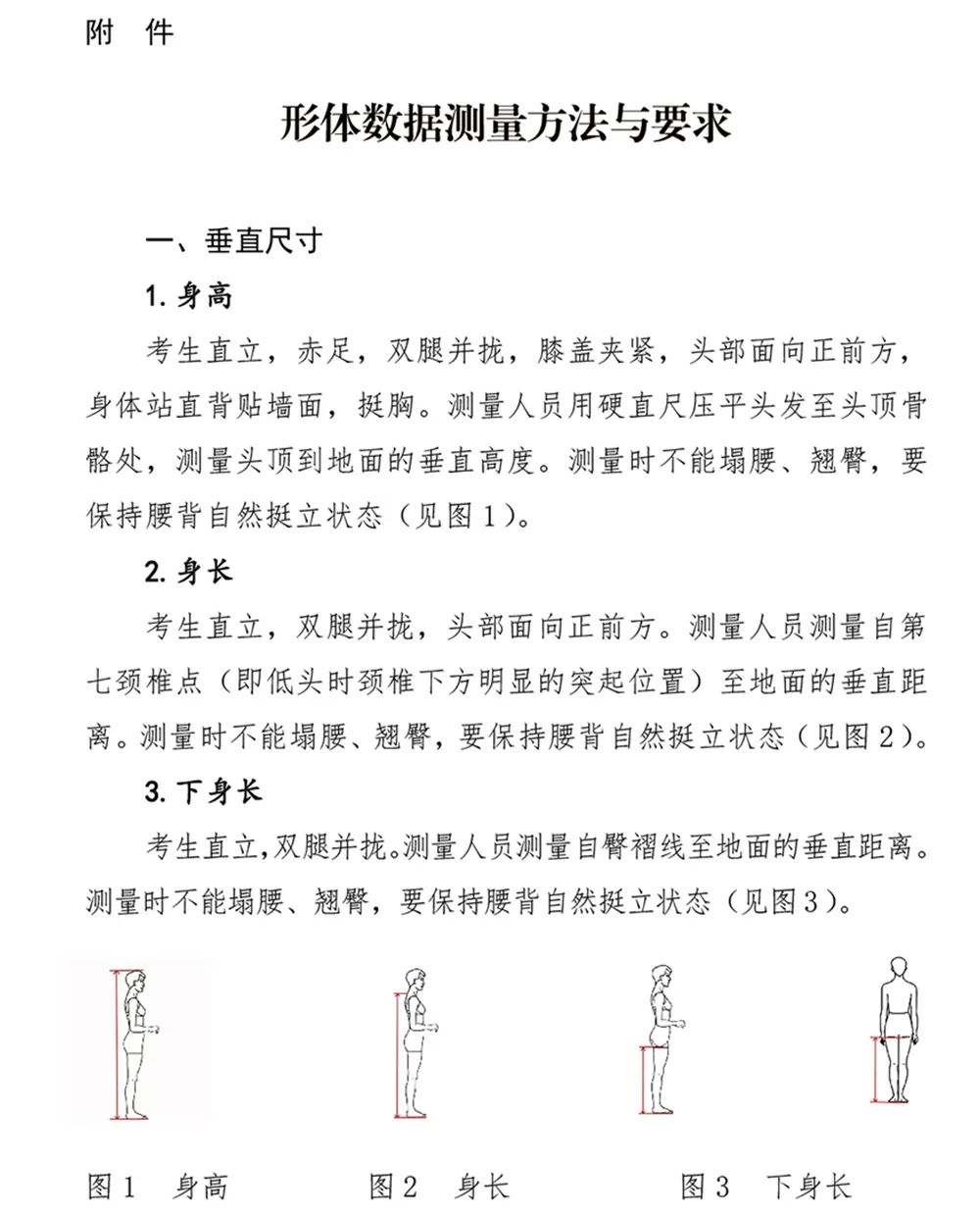 2024年河南省音乐类统考改革方案（含音乐、舞蹈、书法、美术、播音主持等） (http://www.xifumi.com/) 戏曲新闻 第20张